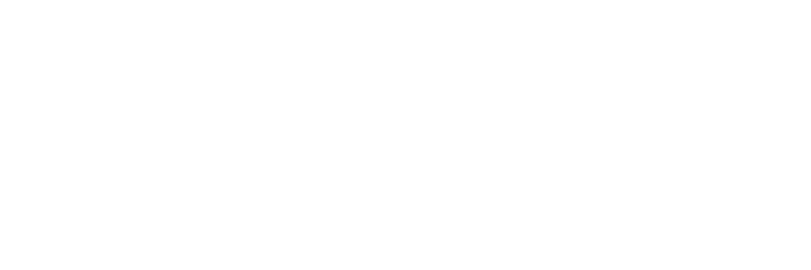 Volt System